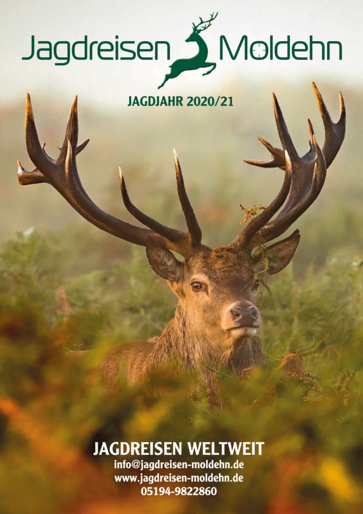 Titelblatt Katalog Jagdreisen Moldehn 2020/2021